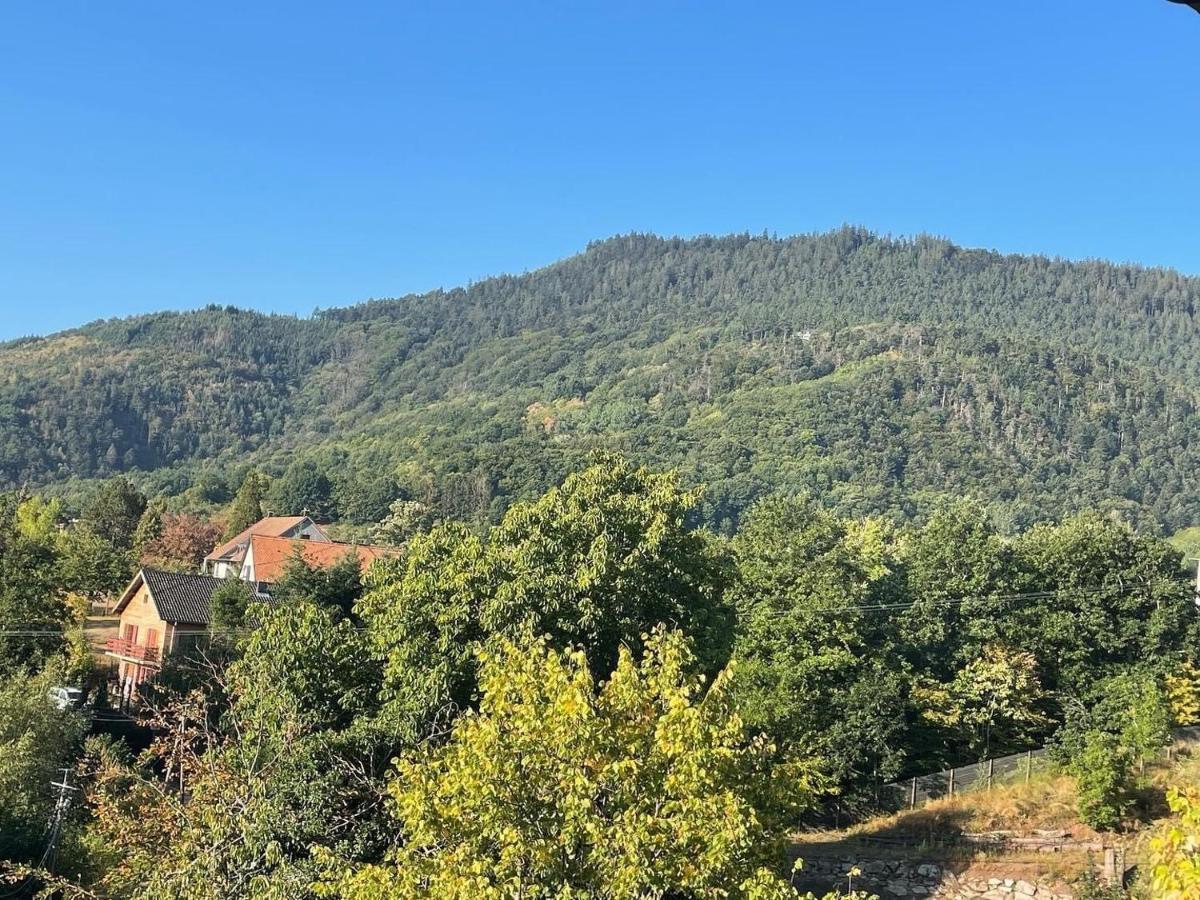 Le Manoir Des Sens - Foret De Bergheim Εξωτερικό φωτογραφία