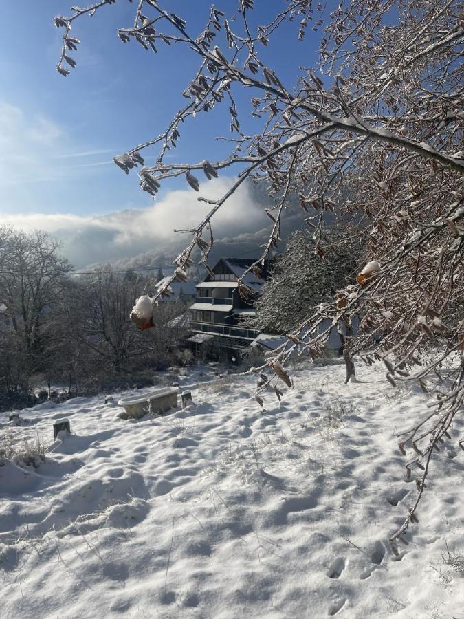 Le Manoir Des Sens - Foret De Bergheim Εξωτερικό φωτογραφία